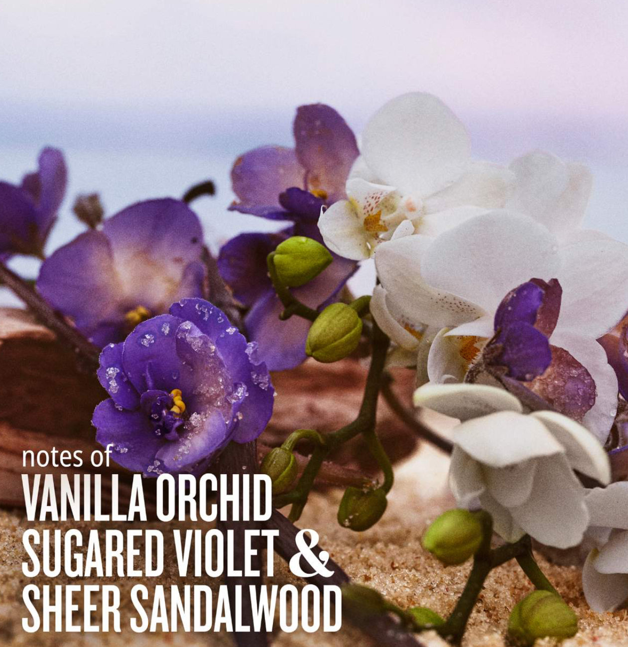 Mini Cheirosa 59 Perfume Mist Sol de Janeiro