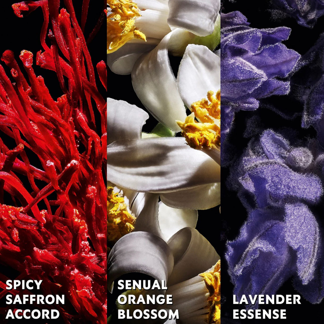 Yves Saint Laurent
Libre Le Parfum with Orange Blossom & Saffron 50ML