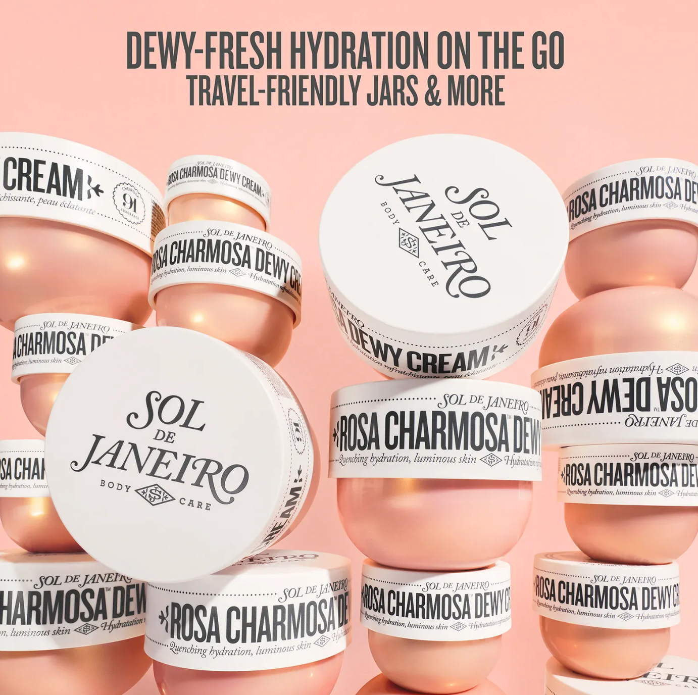 Rosa Charmosa™ DEWY CREAM Sol Janeiro