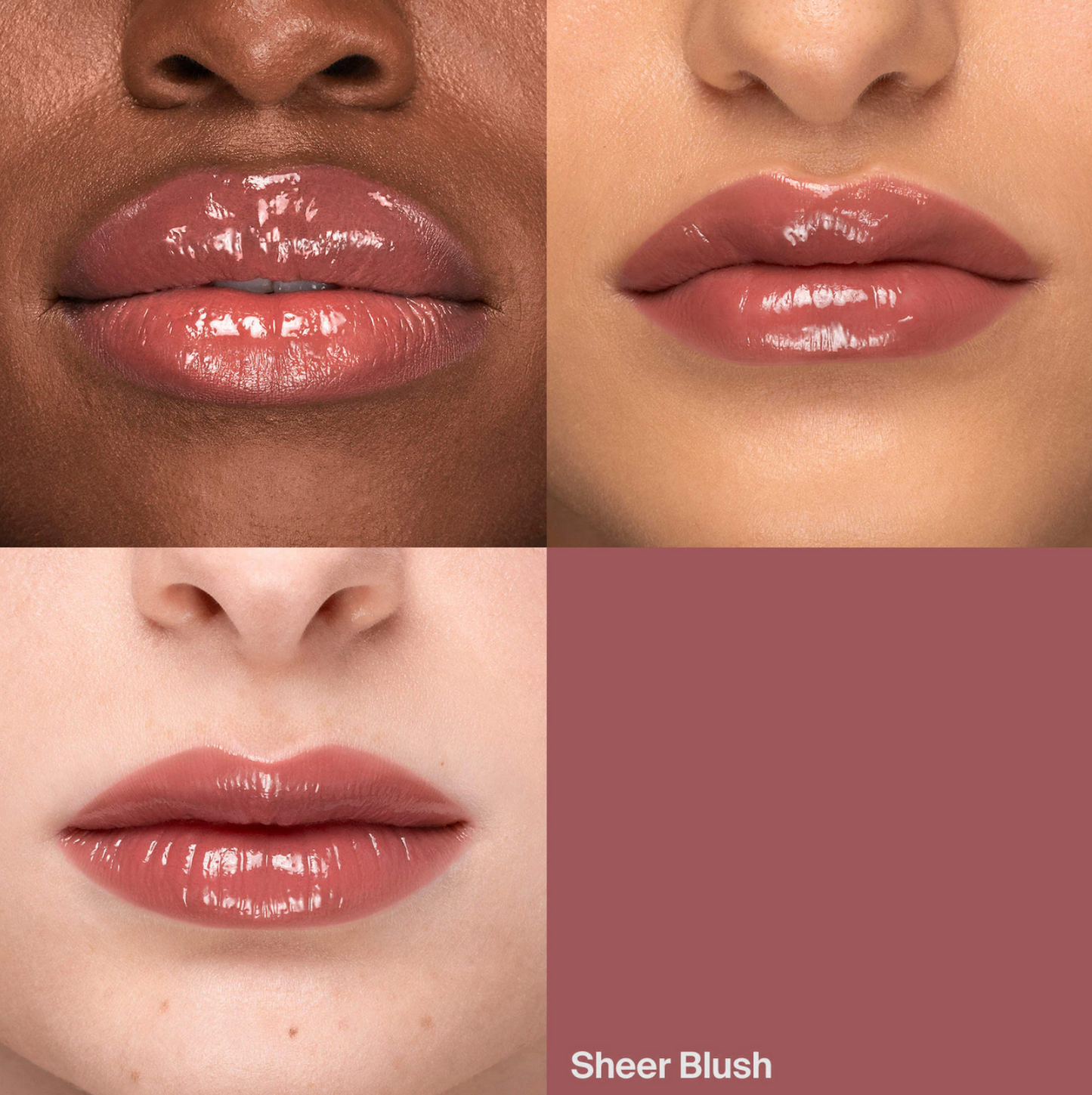 HAUS LABS BY LADY GAGA  Atomic Shake High-Shine Longwear Lip Lacquer labial