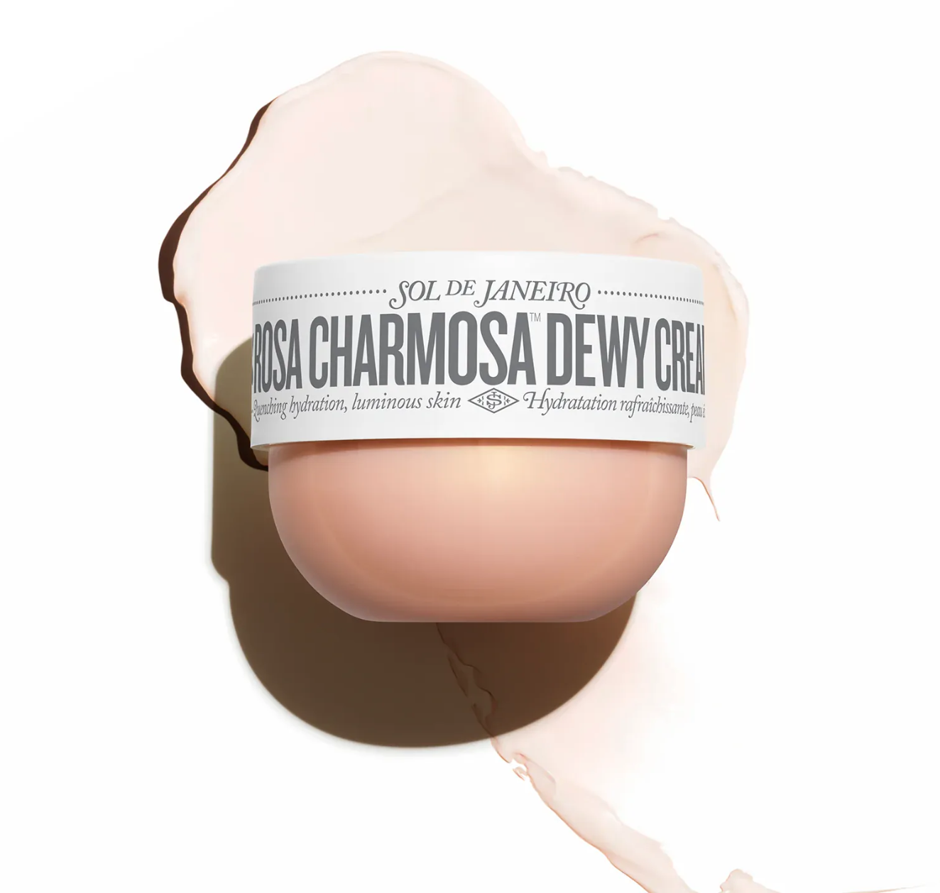 Rosa Charmosa™ DEWY CREAM Sol Janeiro