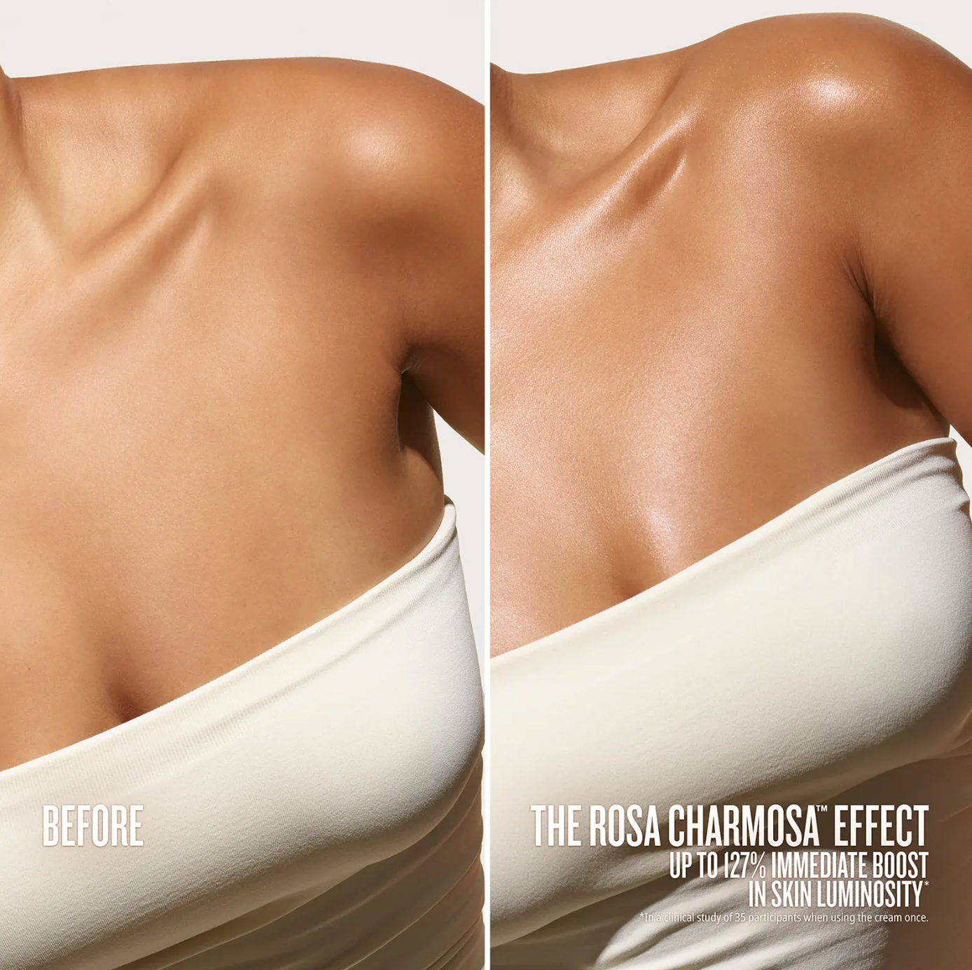 Rosa Charmosa™ DEWY CREAM Sol Janeiro