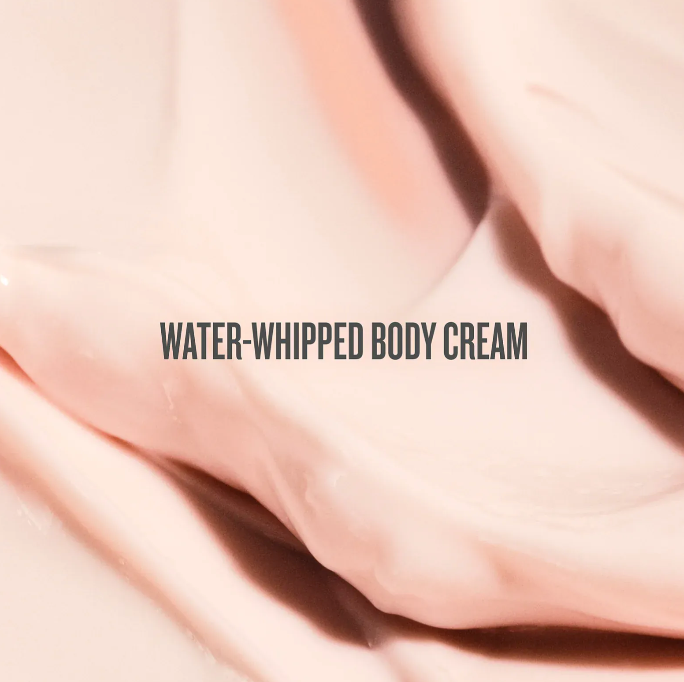Rosa Charmosa™ DEWY CREAM Sol Janeiro