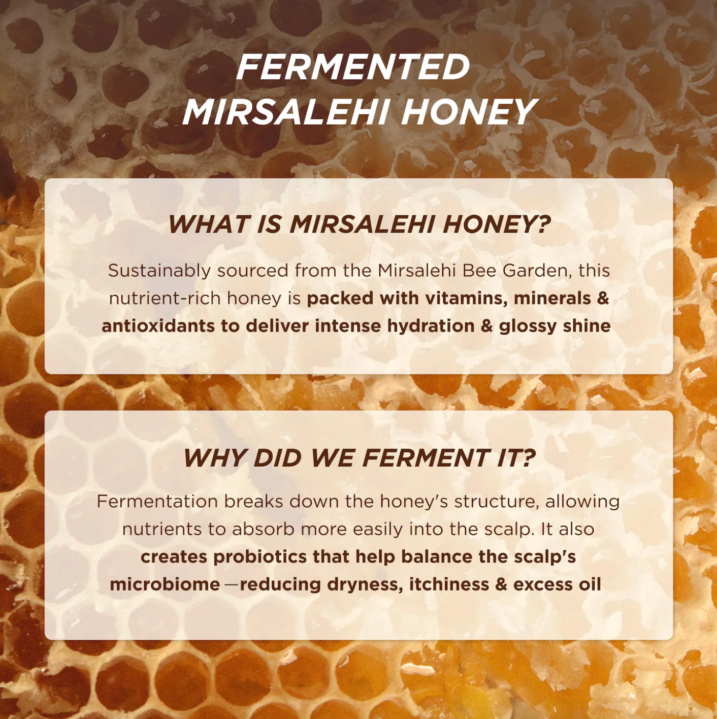 Gisou  Honey Gloss Ceramide Therapy Hydrating Shampoo