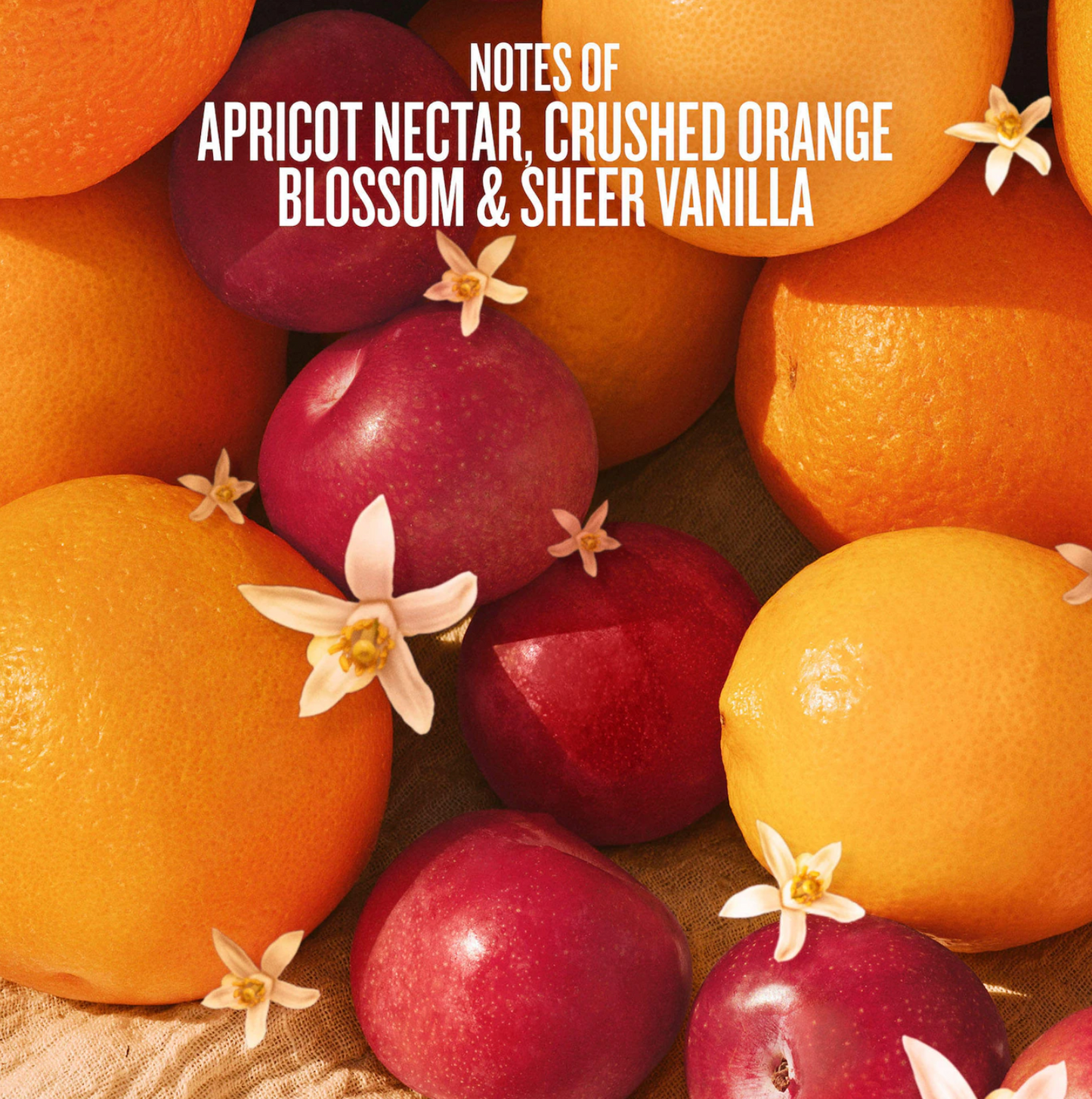 Sol de Janeiro  Cheeky Biquíni Hair & Body Perfume Mist 90ML