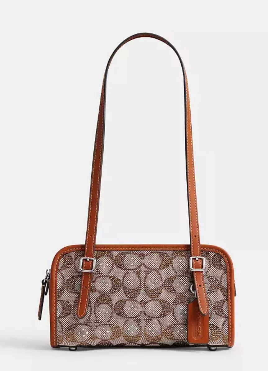Swing Zip Bag 20 COACH