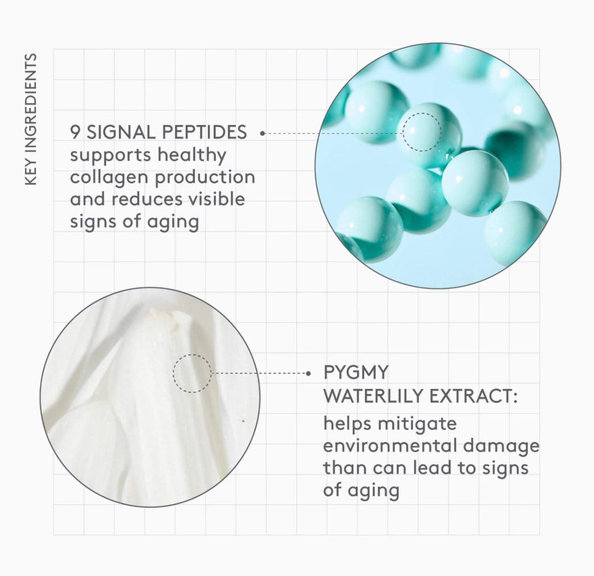 Drunk Elephant 
Protini™ Polypeptide Firming Refillable Moisturizer 50ML