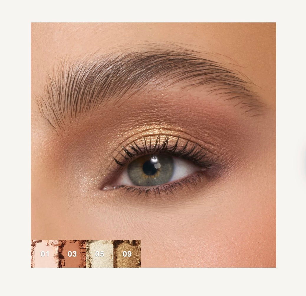 ChromaPlus 12-Pan Eyeshadow Palette Morphe