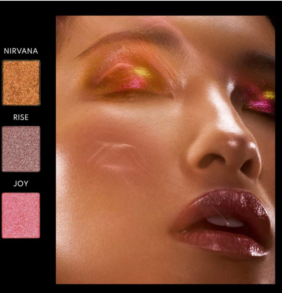 Lightwork VI Freedom Palette DANESSA MYRICKS BEAUTY