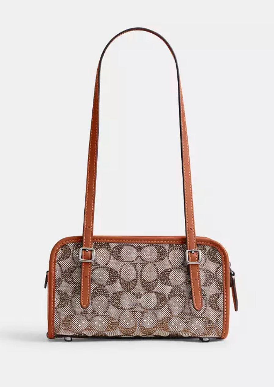 Swing Zip Bag 20 COACH